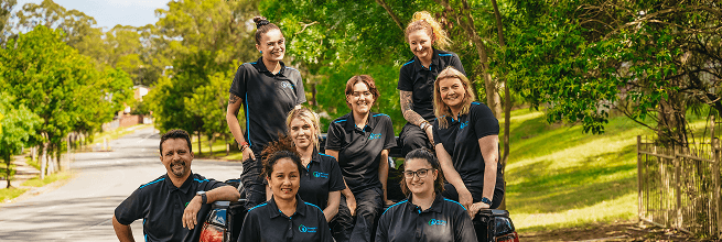 Professional Carpet Cleaning Service