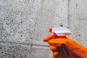 The Complete Guide to Mould Removal in Sydney Homes and Businesses